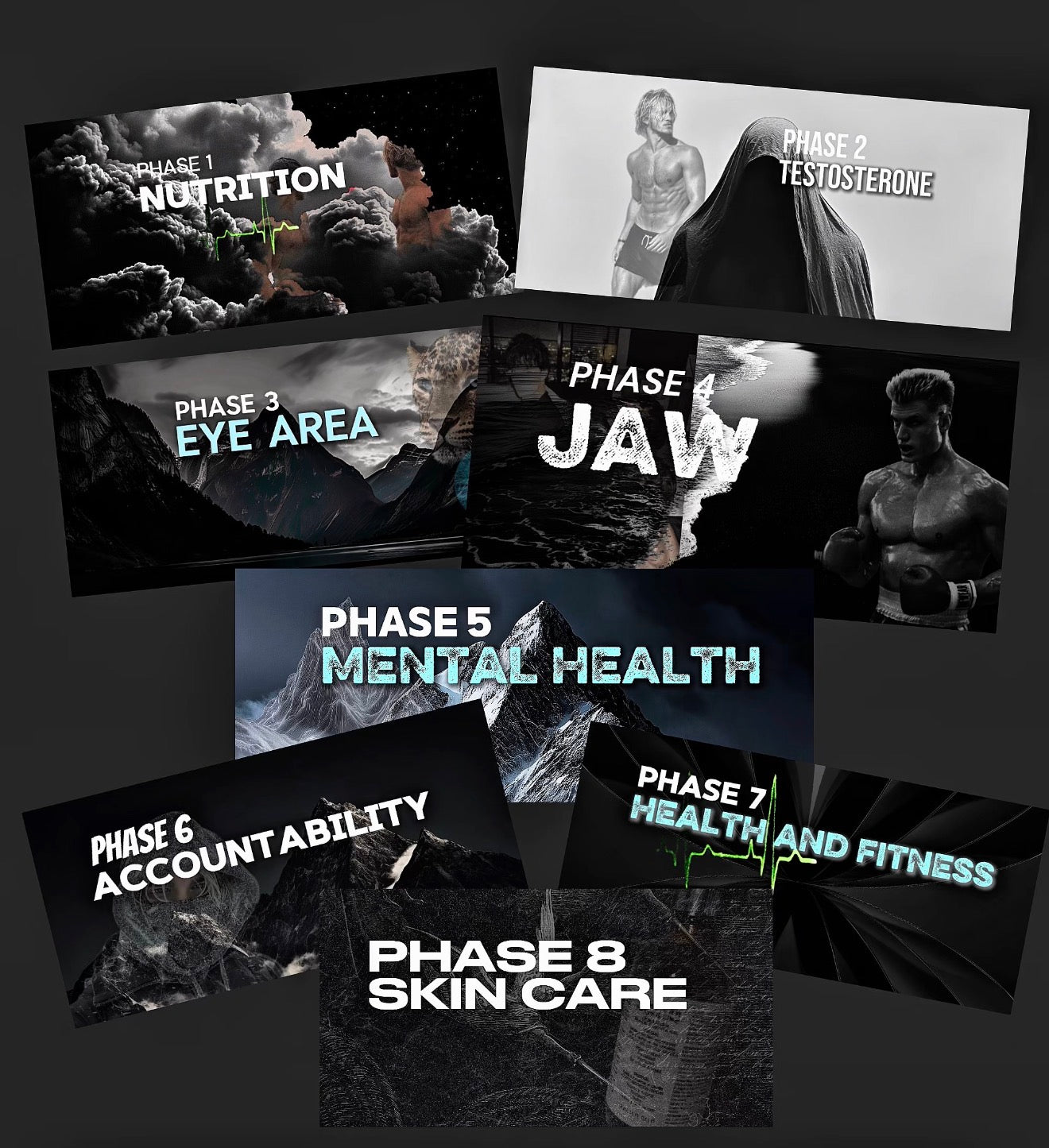 Project Looks Course